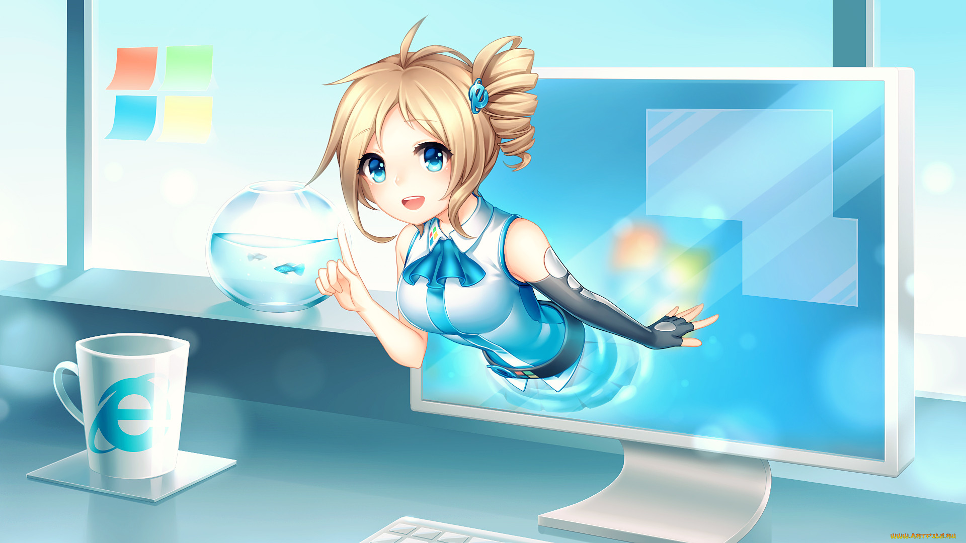 , windows xp, , , 